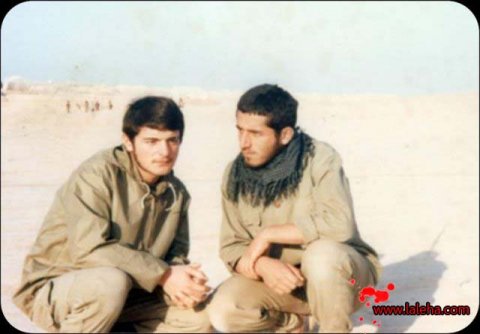 vahid14.jpg (480×334)